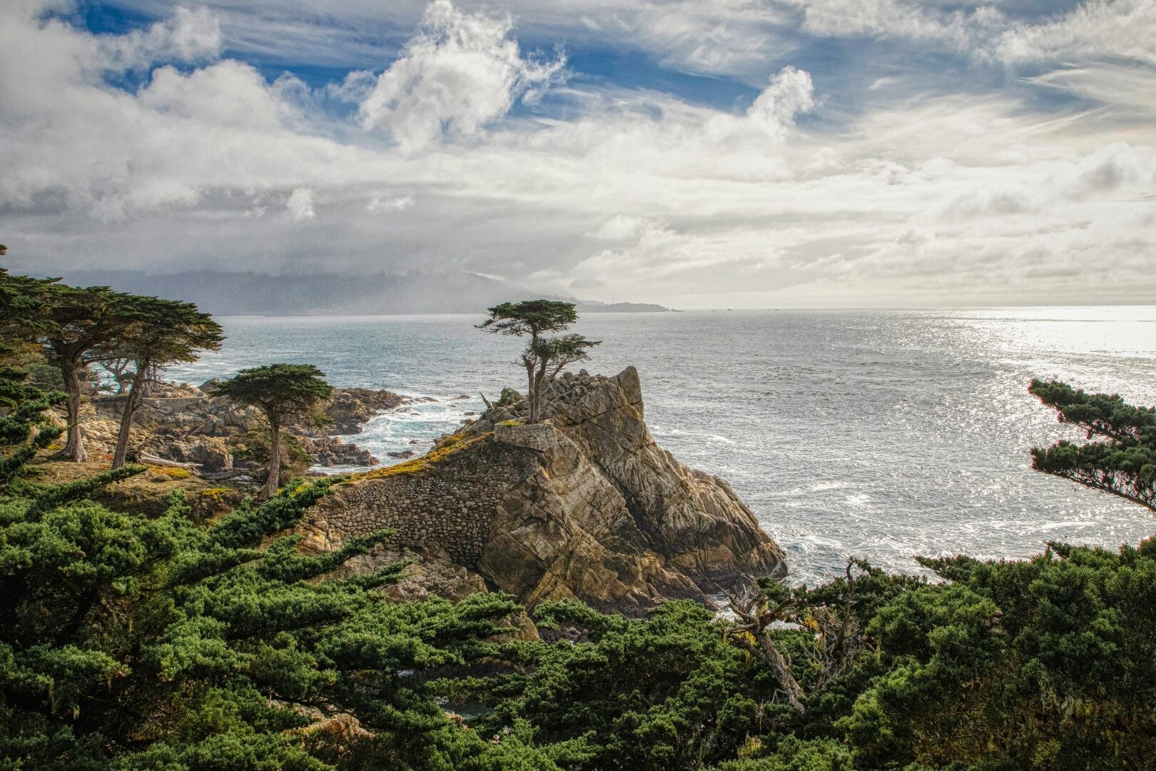 The Lone Cypress along 17-Mile Drive