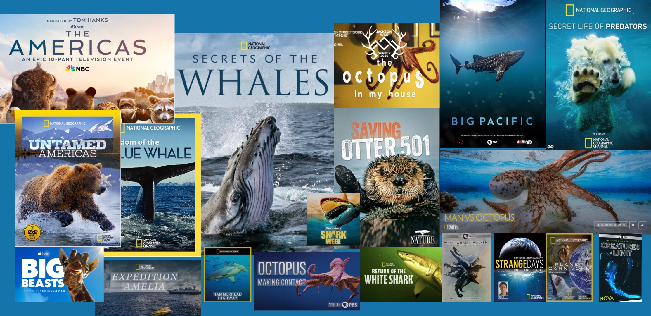 Collage of documentary showcards featuring Ernie Kovacs's film credits, including The Americas, Secrets of the Whales, Saving Otter 501, Big Pacific, and more